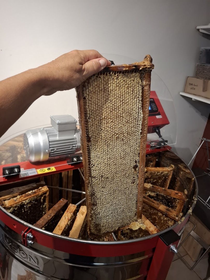 Les Abeilles de Corinne — photo 1