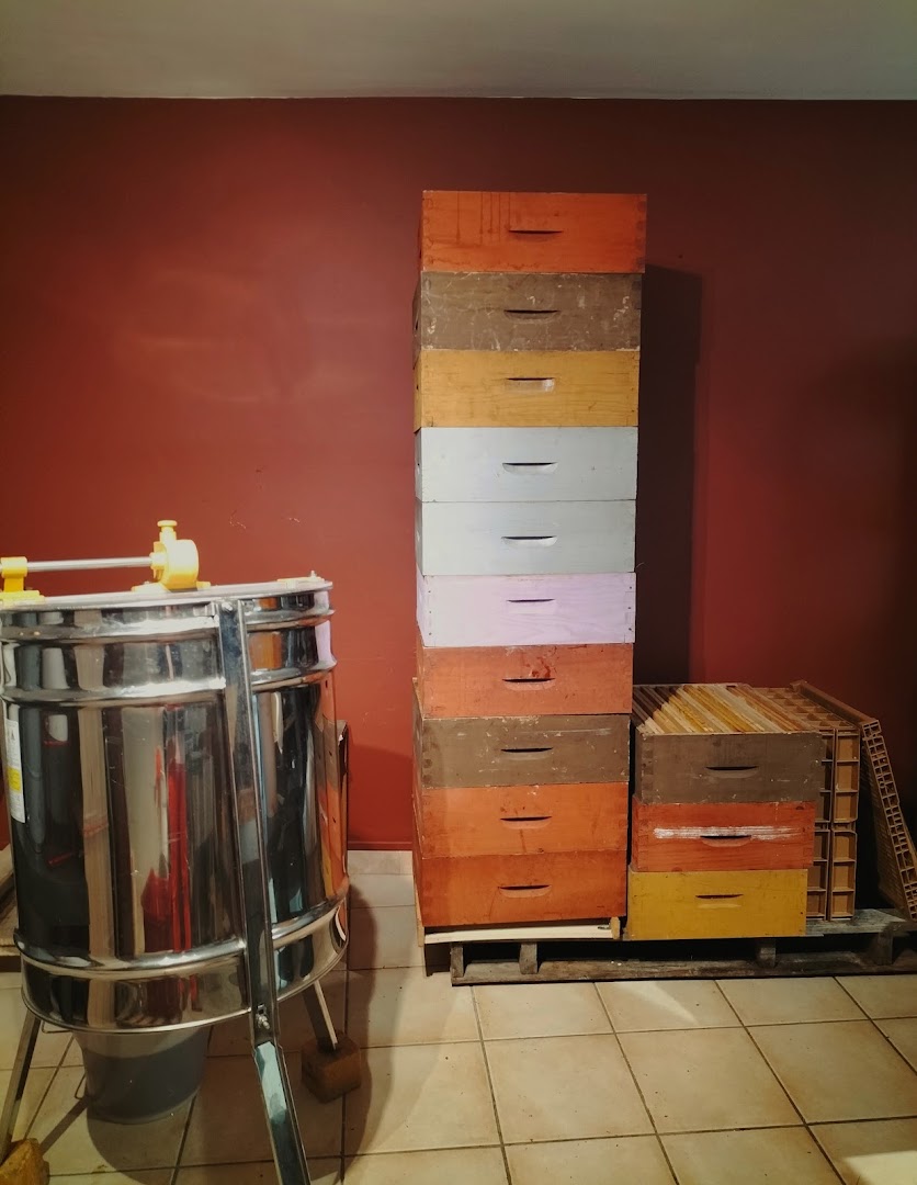 Les Abeilles de Corinne — photo 4